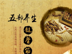 融合中醫(yī)養(yǎng)生文化，打造專業(yè)展板設(shè)計(jì)——高清PSD模板助力企業(yè)健康服務(wù)推廣